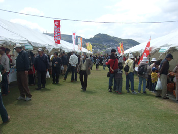 2013長崎帆船まつり 2013長崎帆船まつり
