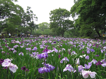 大村公園 大村公園
