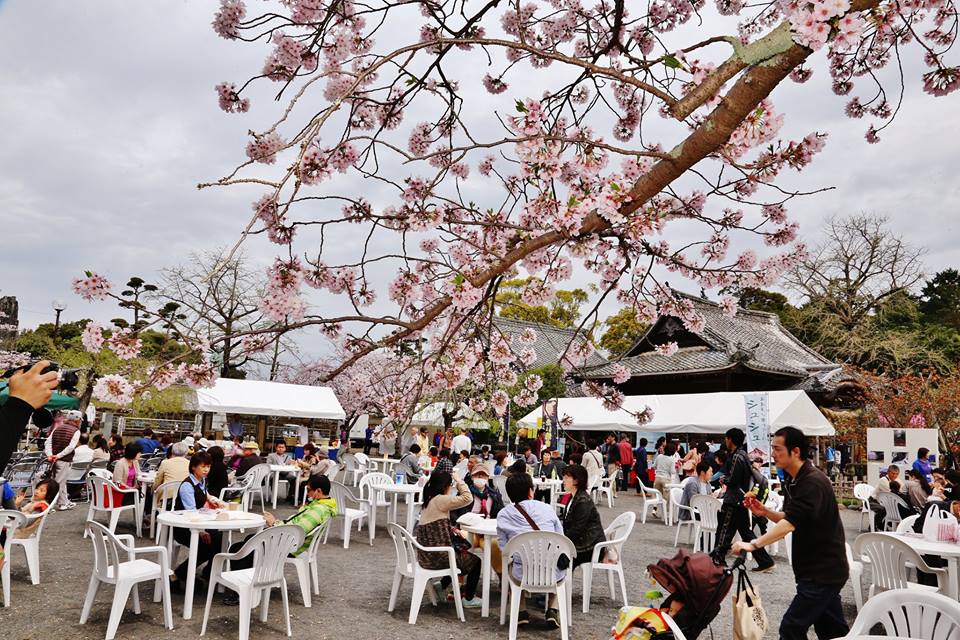 大村桜まつり シュガーロード長崎街道 大村すい~つ祭り「さくらカフェ」 大村桜まつり シュガーロード長崎街道 大村すい~つ祭り「さくらカフェ」