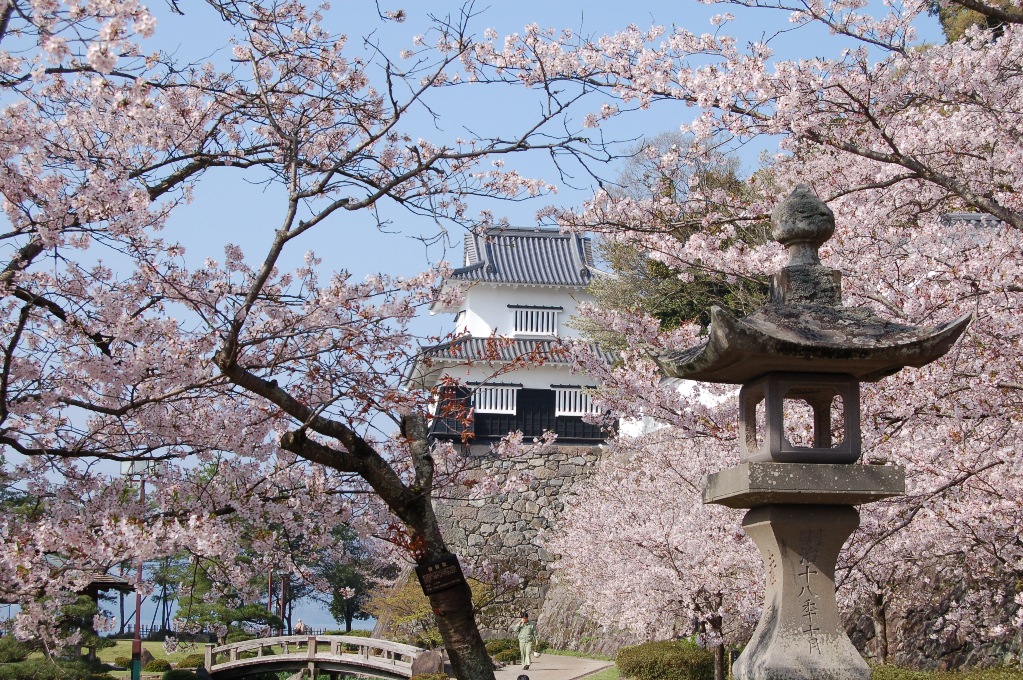 おおむら花まつり おおむら花まつり